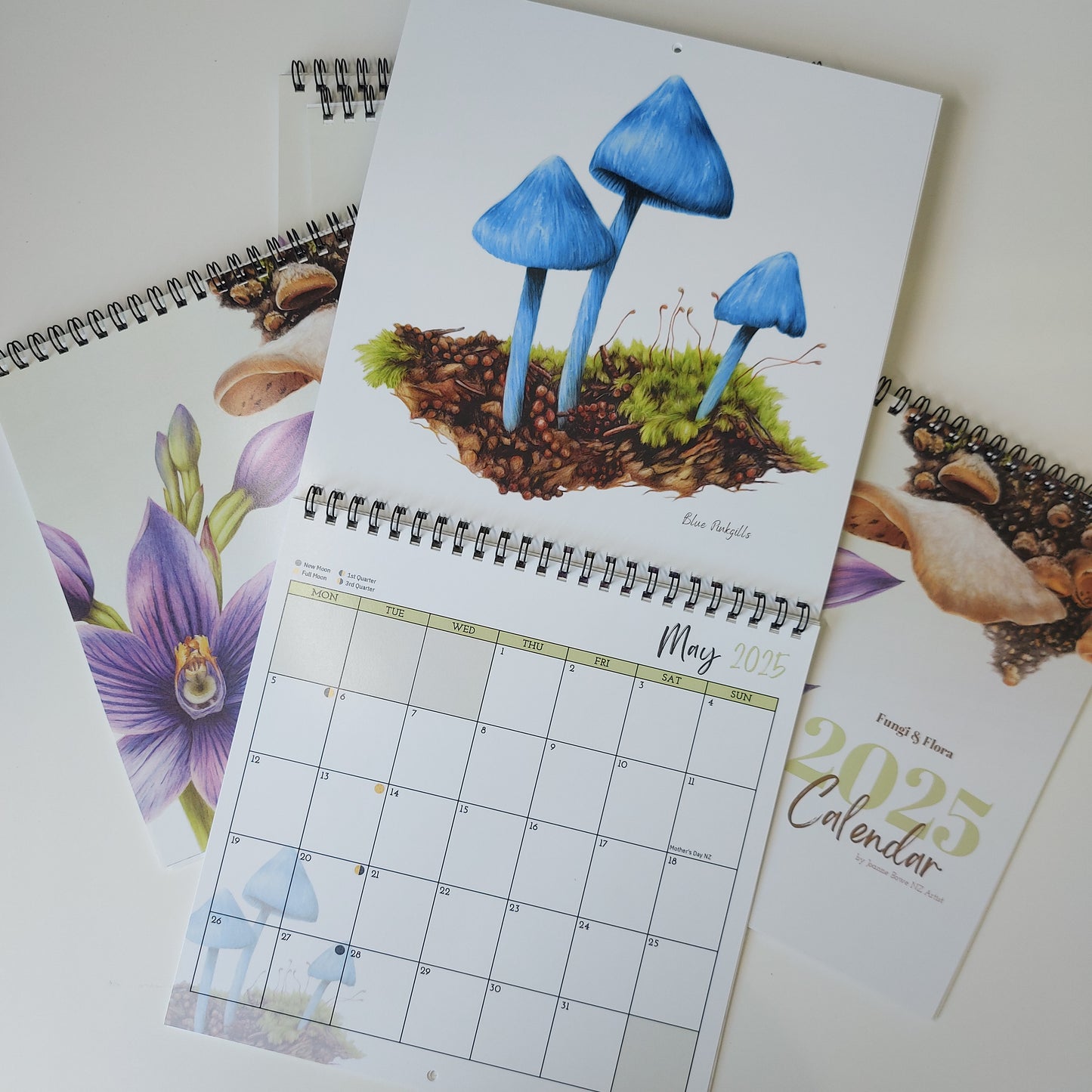 NZ Art Calendar 2025 Fungi & Flora