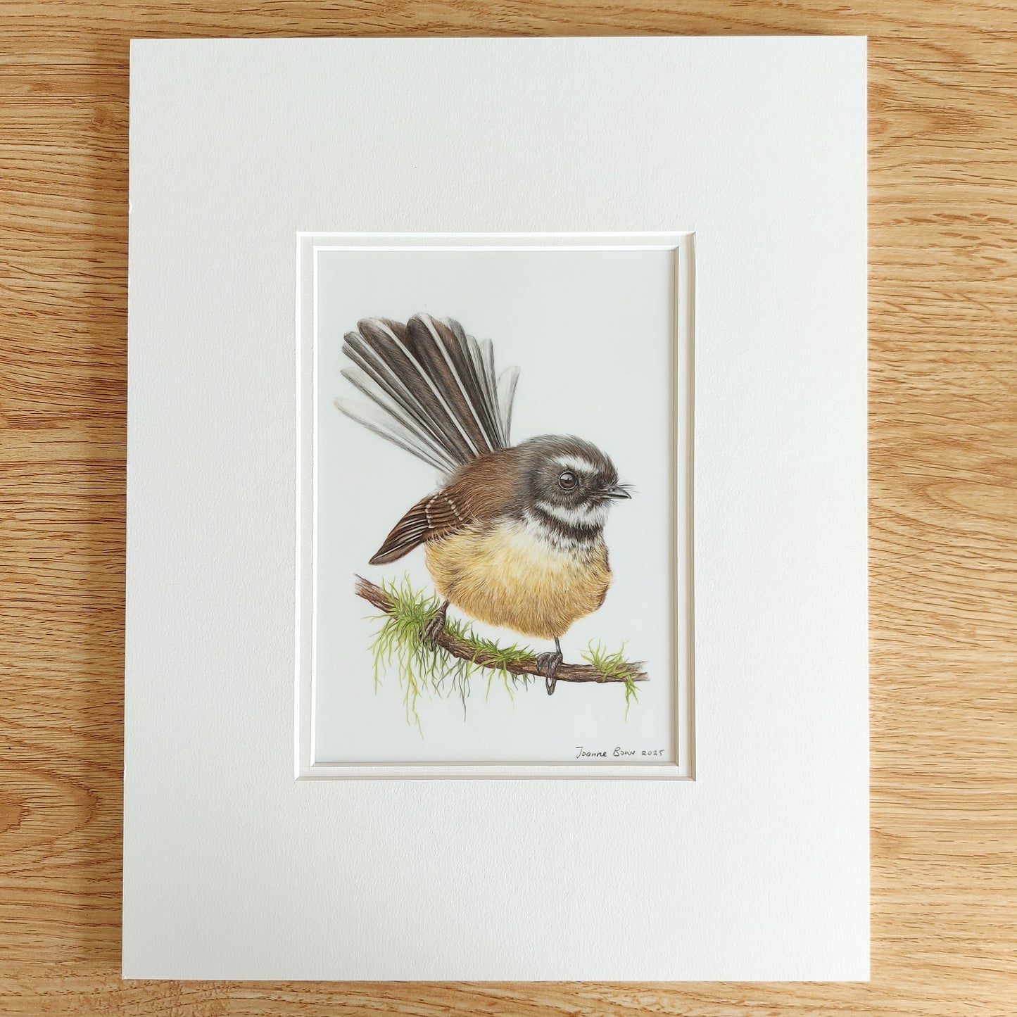 Fantail - Original Pencil Artwork