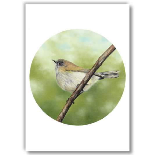 Warbler A4 - Joanne Bowe | New Zealand Artist