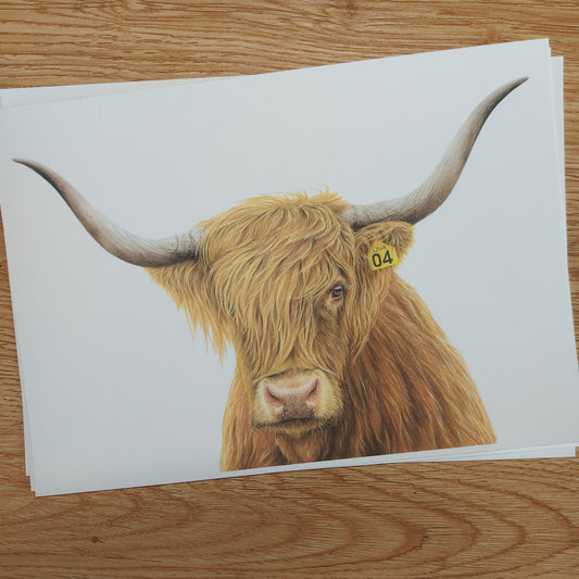 highland cow art print by joanne bowe