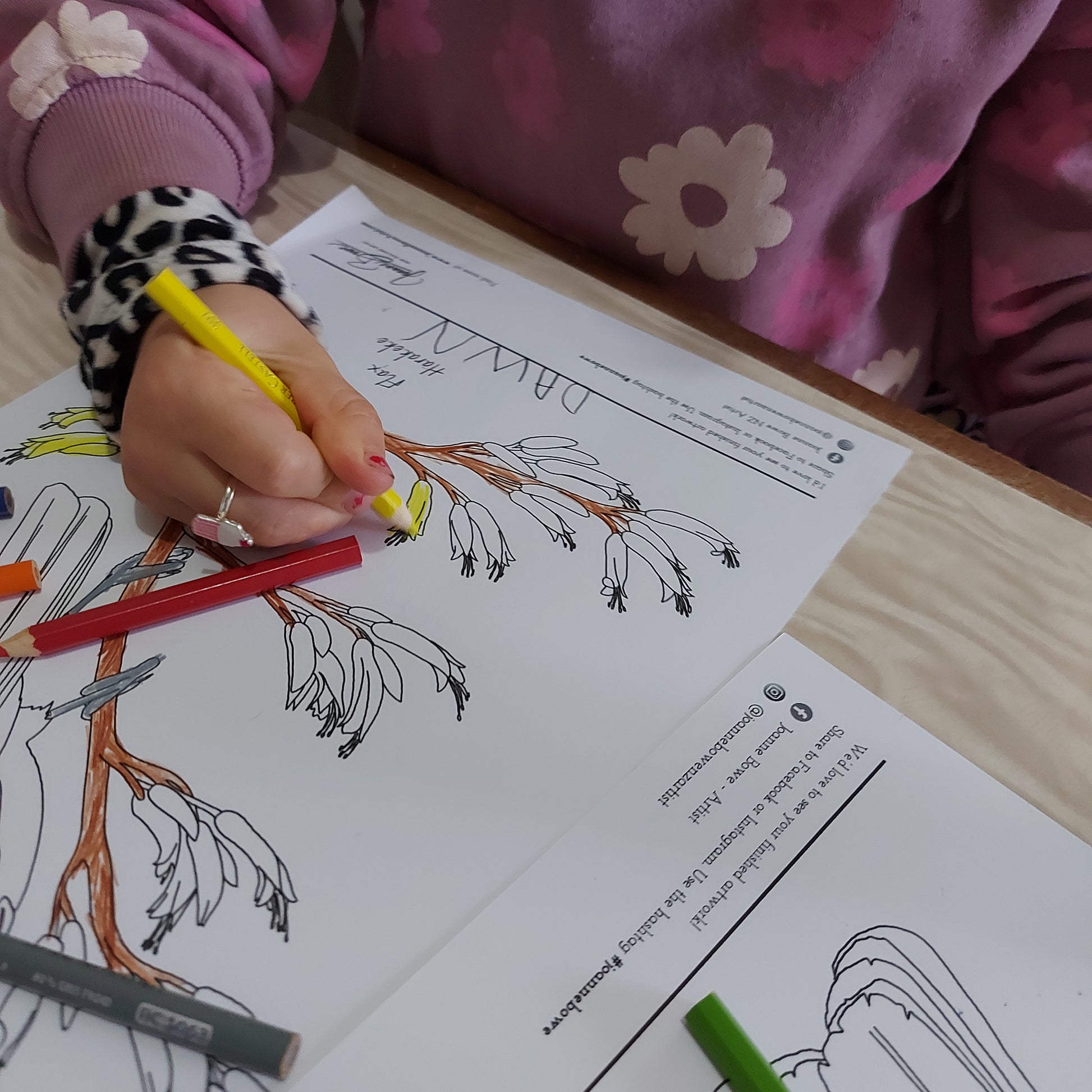 free colouring in page nz birds