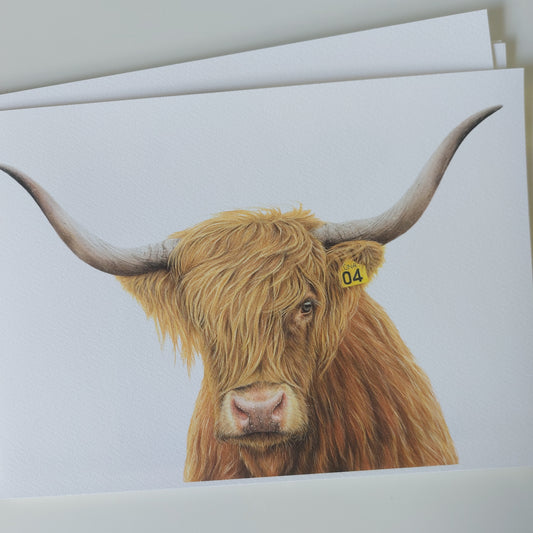 Scottish highland cow art print by joanne bowe new Zealand artist