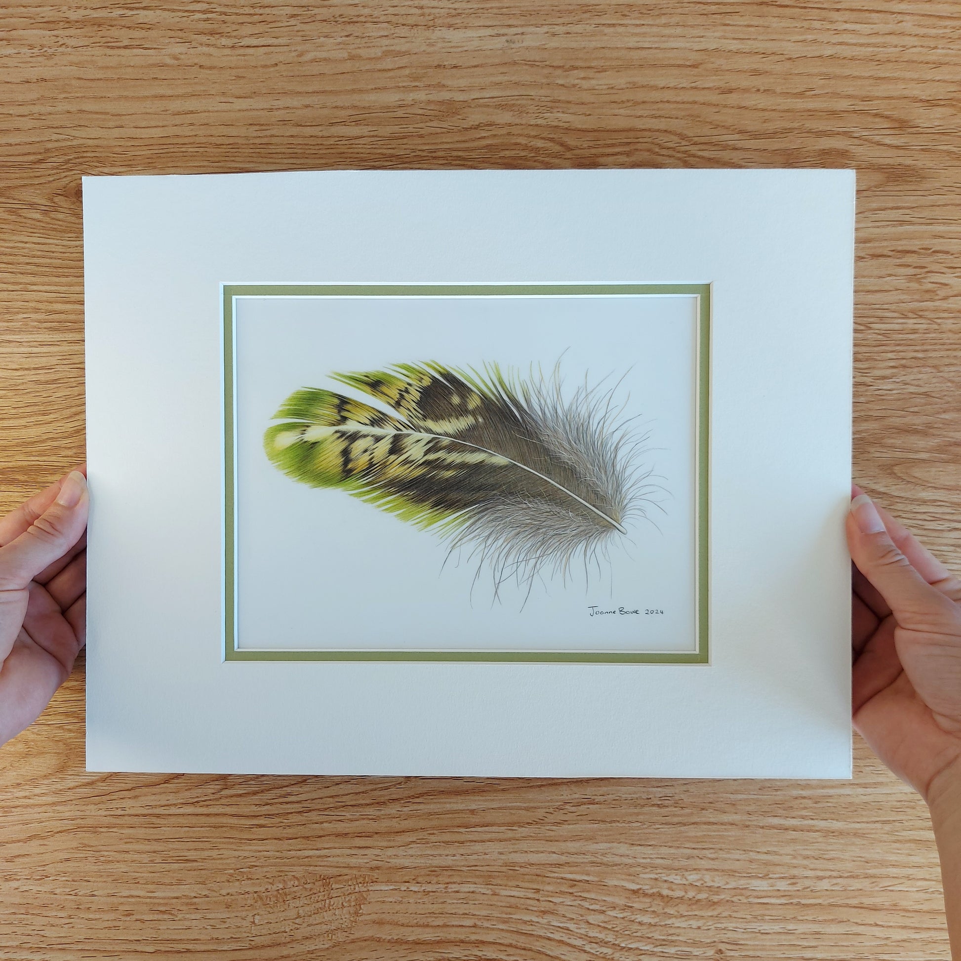 kakapo bird feather pencil drawing