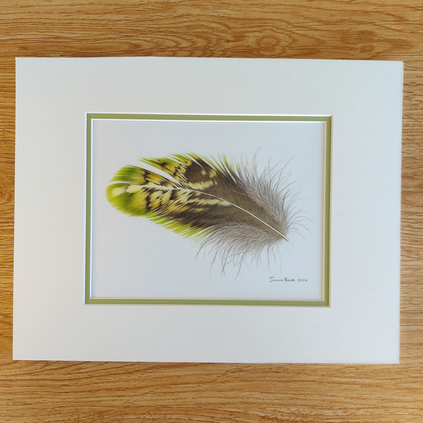 kakapo bird feather pencil drawing