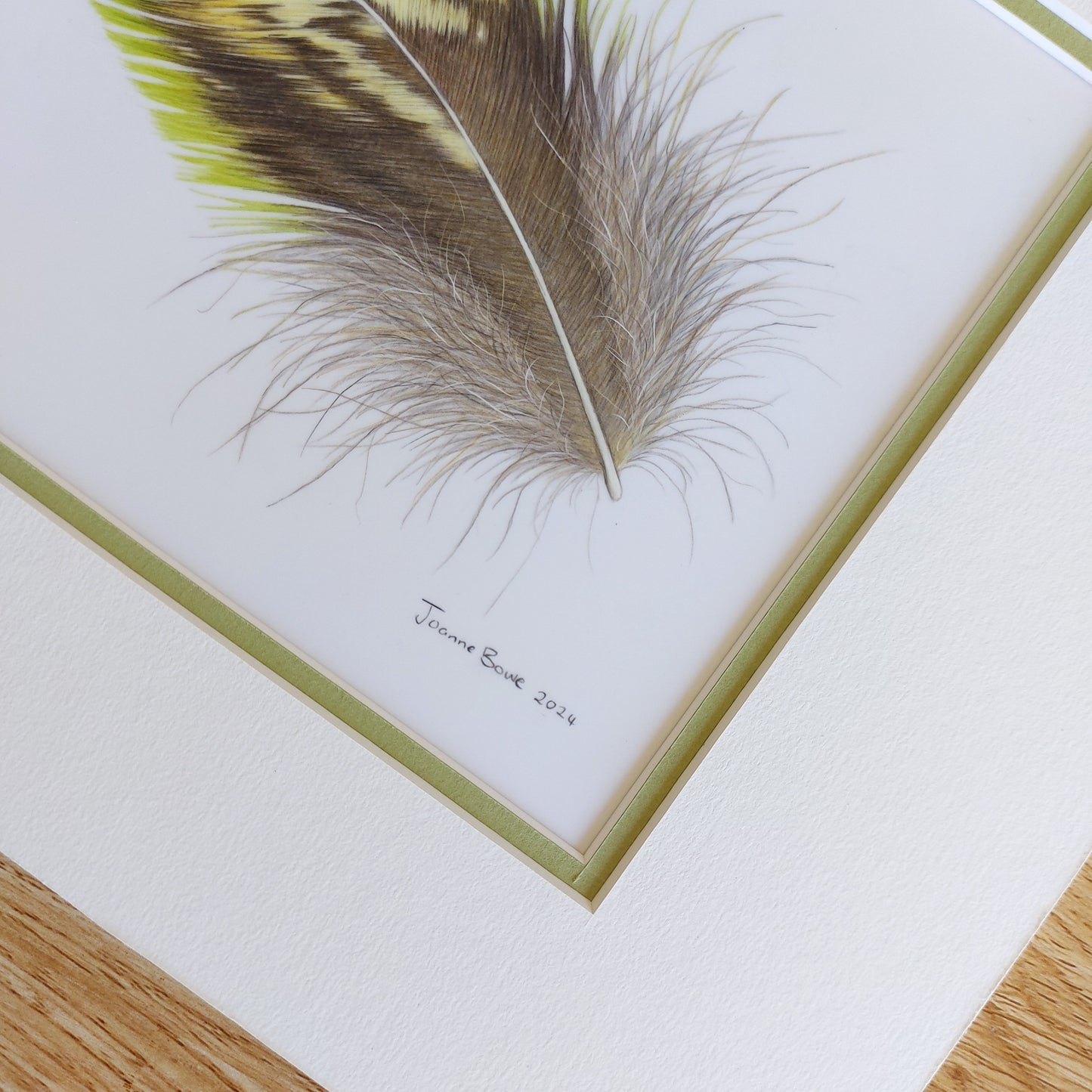 kakapo bird feather pencil drawing