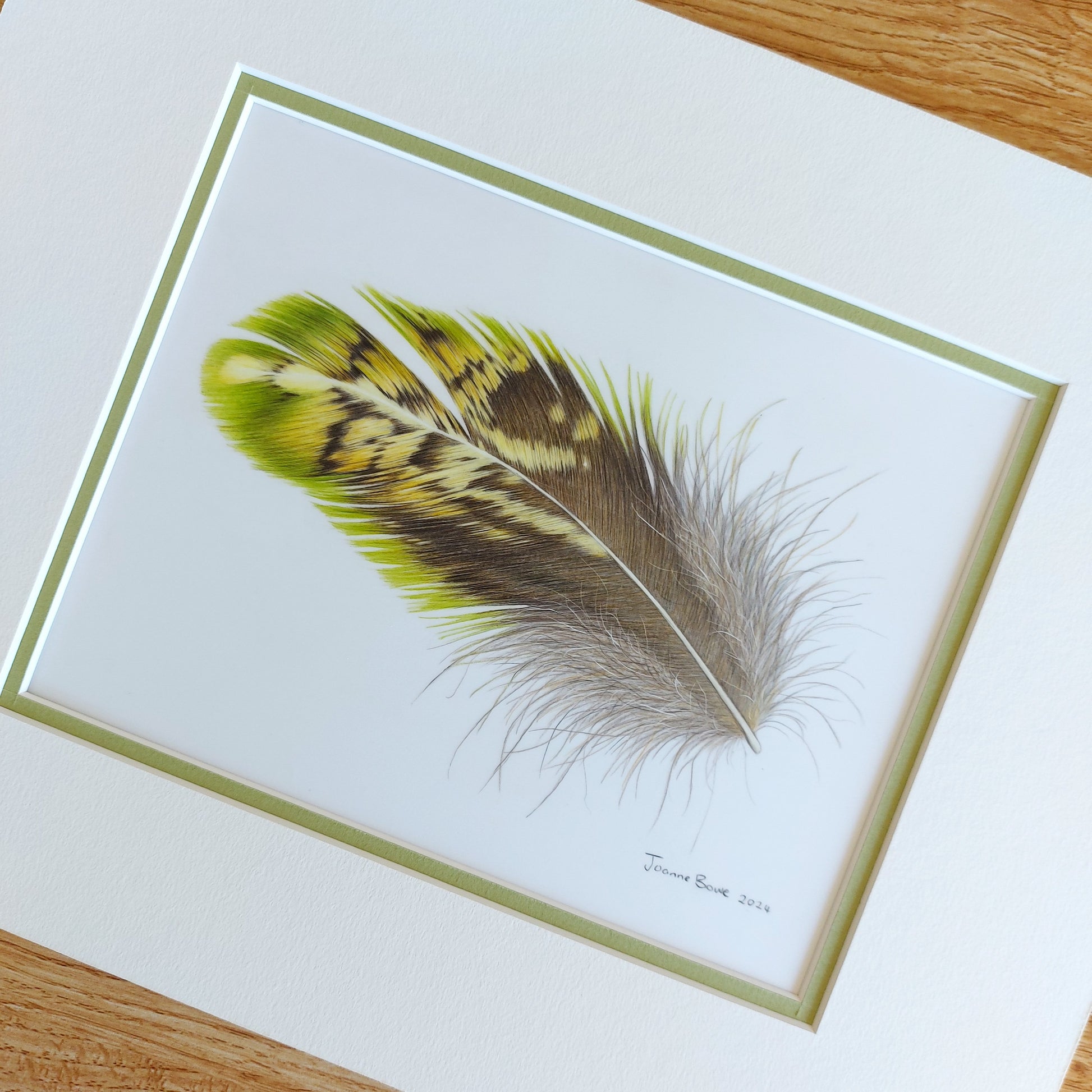 kakapo bird feather pencil drawing