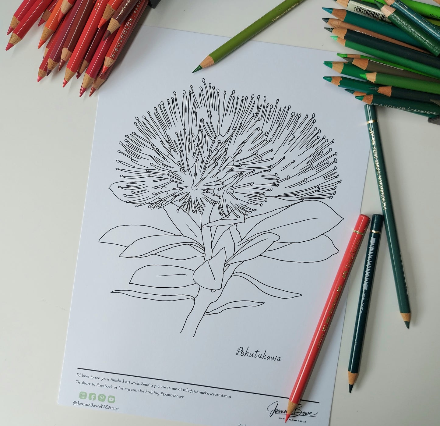 free colouring in page nz birds