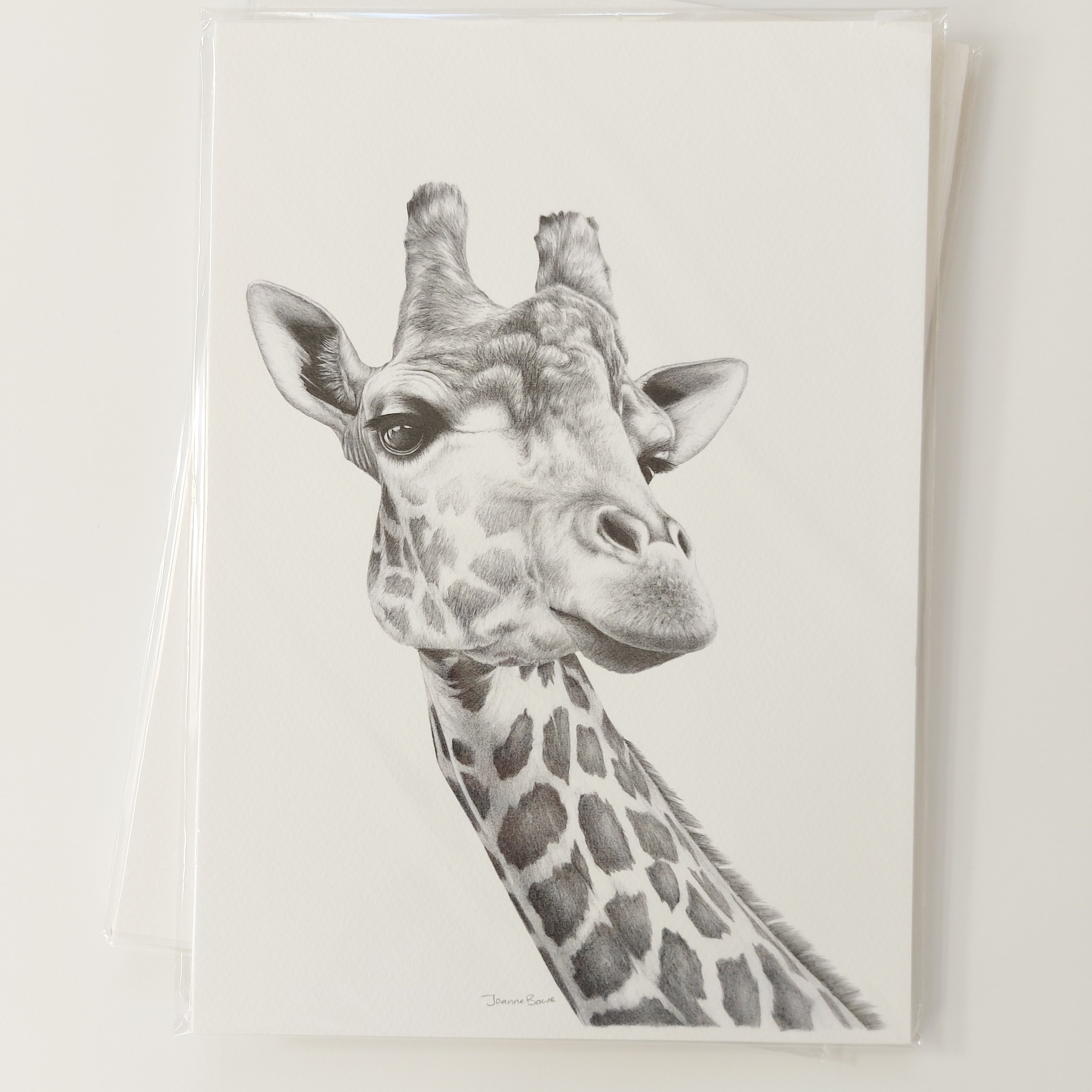 Giraffe A4 Art Print – Joanne Bowe | New Zealand Artist