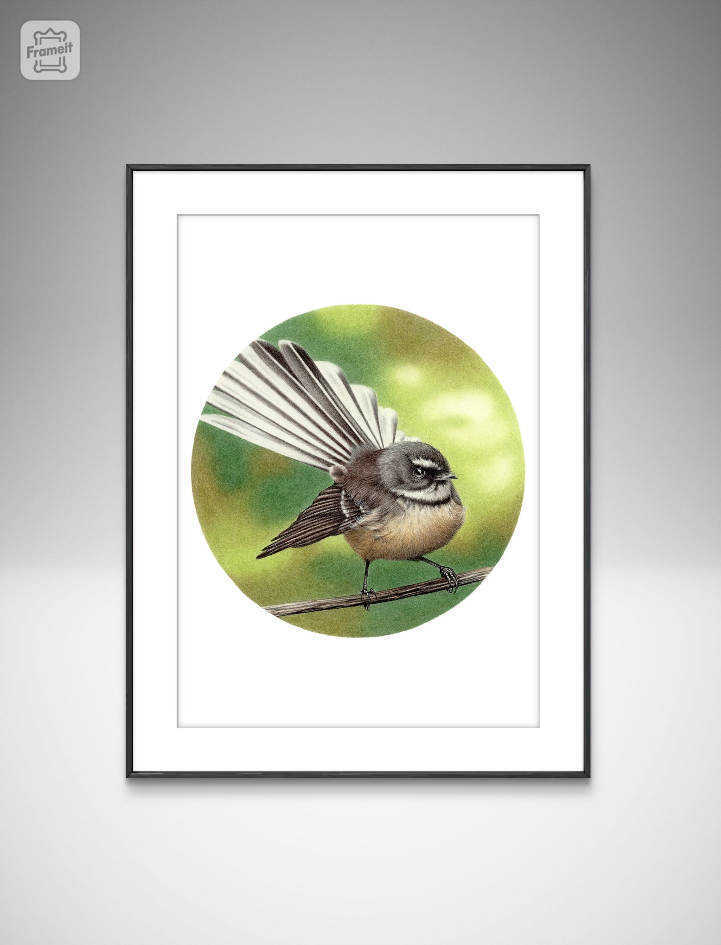 Fantail (Circle Series) -Art Print