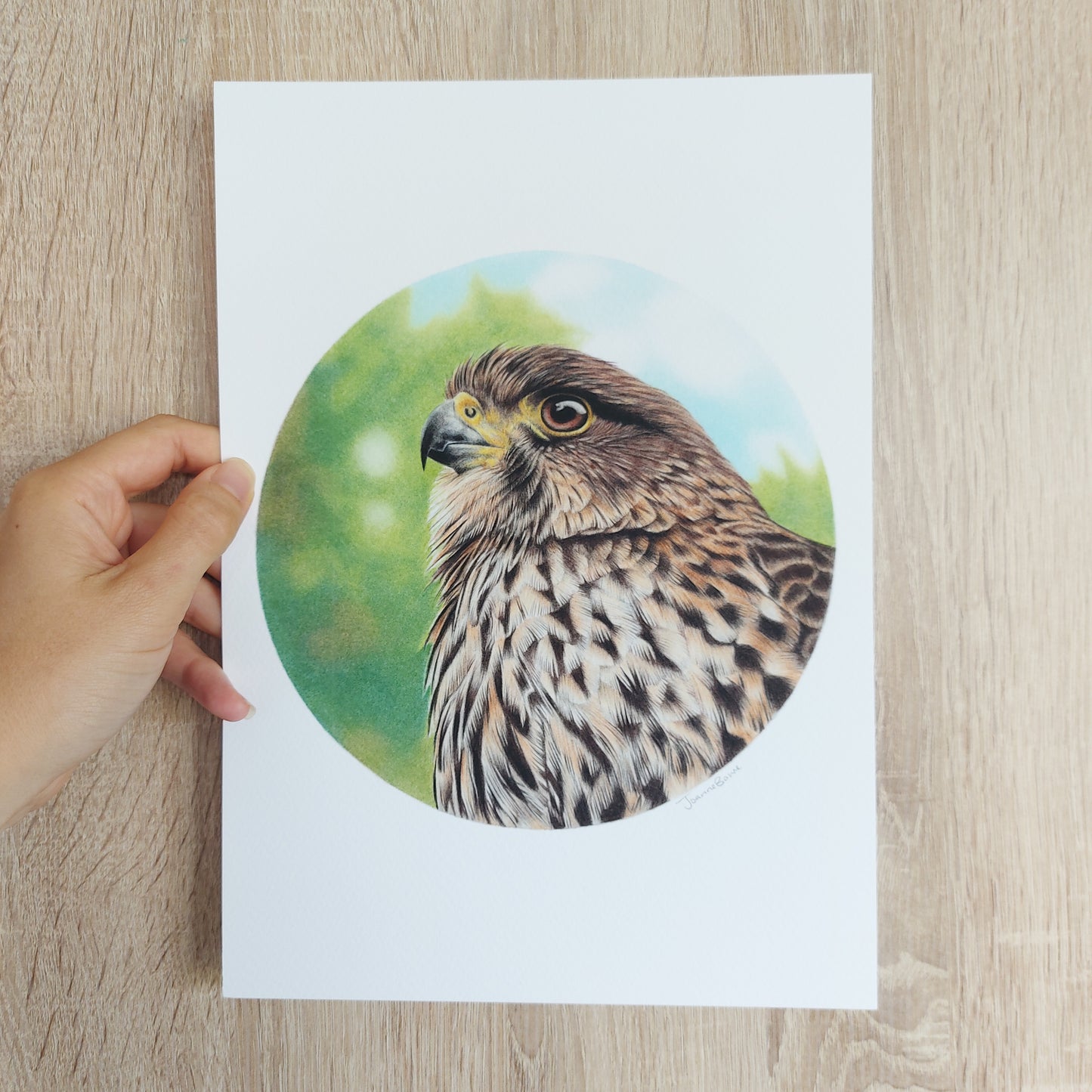 Falcon (Circle Series) -Art Print