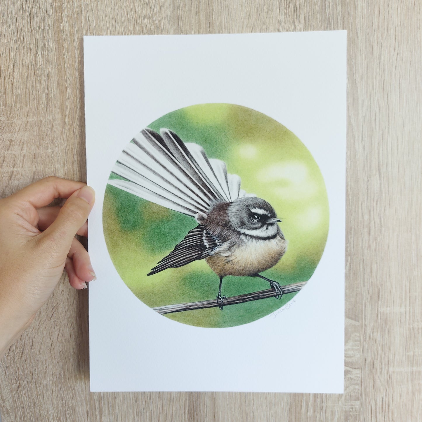 Fantail (Circle Series) -Art Print